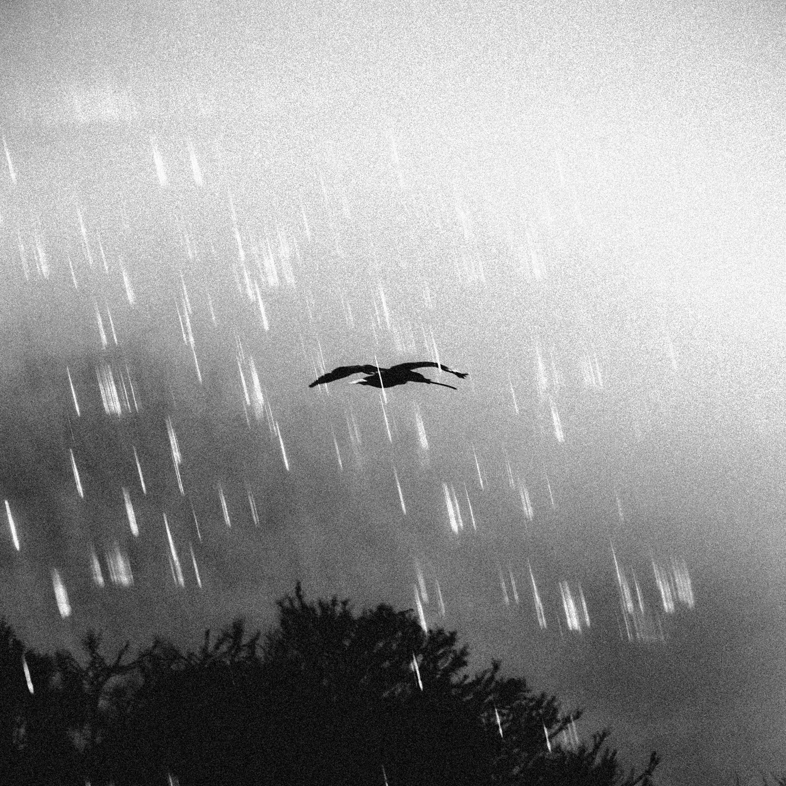 Don’t Judge Me feat. MACCHO